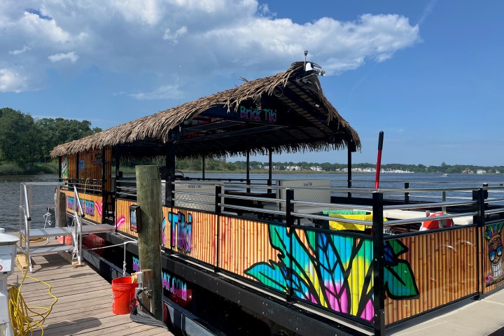 Tiki-themed pontoon boat docked by a lake with a colorful, tropical design and thatched roof.