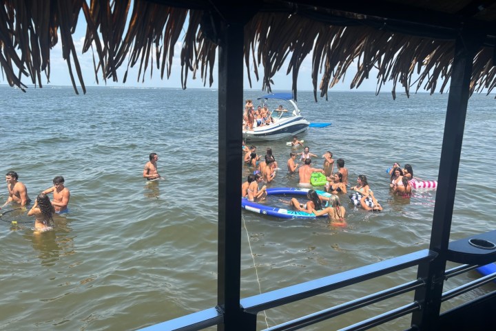 People swimming and floating near a boat under a thatched roof by the sea.
